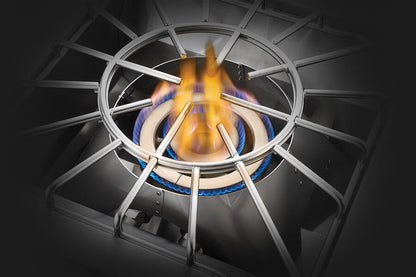 Napoleon BUILT-IN 700 SERIES POWER BURNER with Stainless Steel Cover