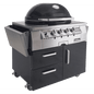 Primo Ceramic Grills X-Large Gas Primo Grill, Head Only for Built Ins