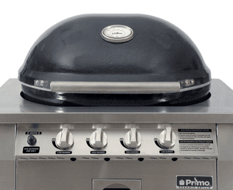 Primo Ceramic Grills X-Large Gas Primo Grill, Head Only for Built Ins